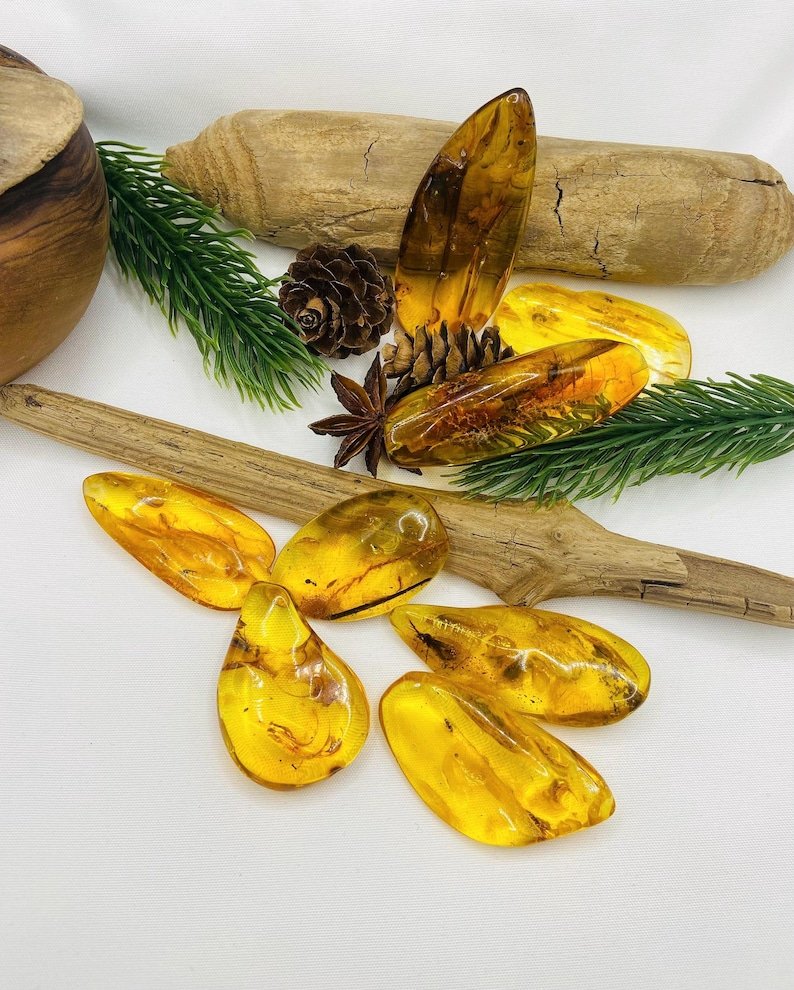 Īsti lielāka izmēra Baltijas Dzintara gabali ar insektu ietvērumiem