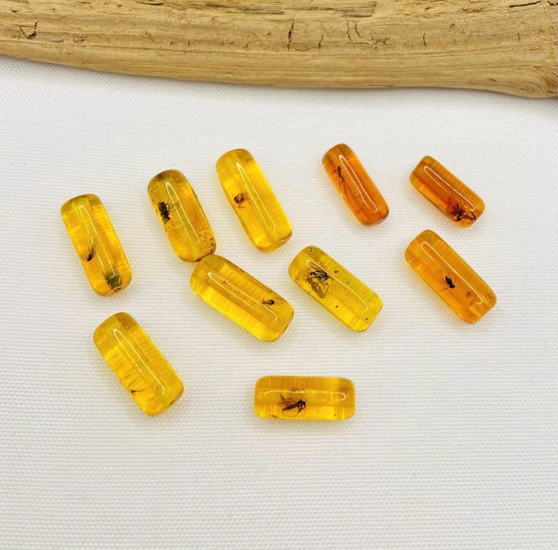 10 gabali miniatūri dzintara gabaliņi ar īstiem insektu ietvērumiem