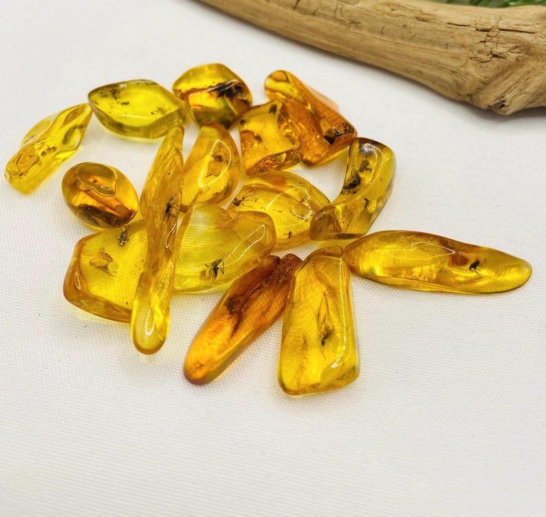 Īsti maziņa izmēra Baltijas Dzintara gabali ar insektu ietvērumiem