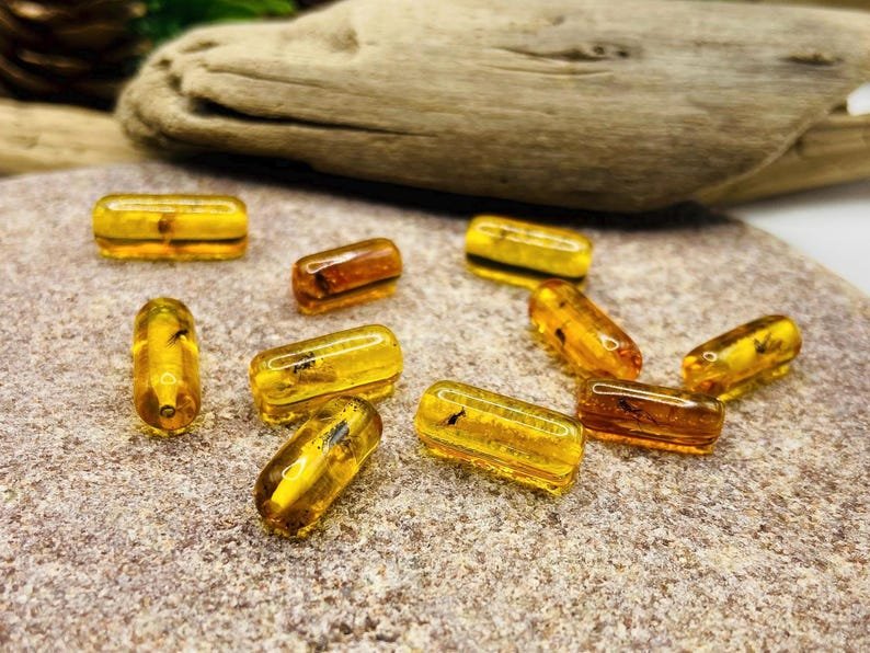 10 gabali miniatūri dzintara gabaliņi ar īstiem insektu ietvērumiem