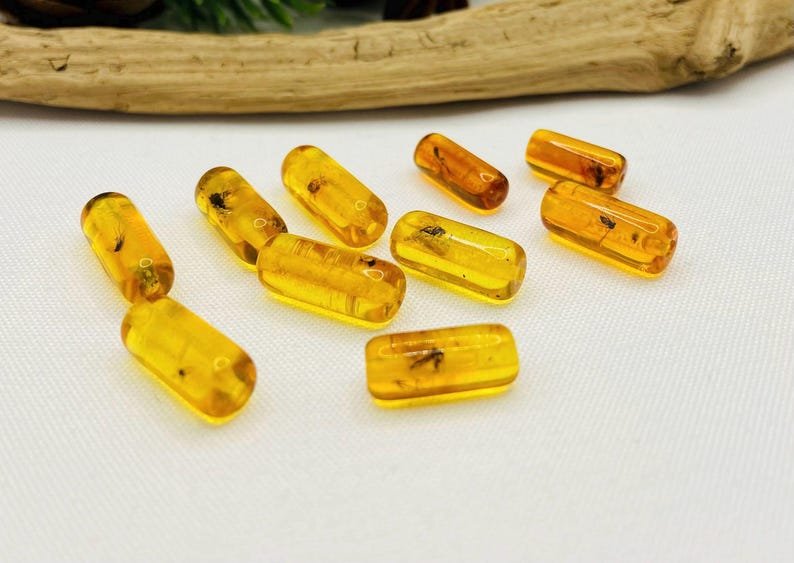 10 gabali miniatūri dzintara gabaliņi ar īstiem insektu ietvērumiem