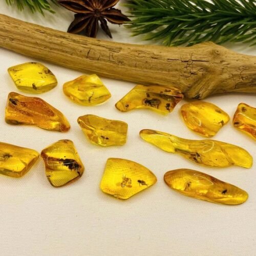 56548094-r-il-497000-7564543137-il_794xN.7564543137_hdum Īsti maziņa izmēra Baltijas Dzintara gabali ar insektu ietvērumiem