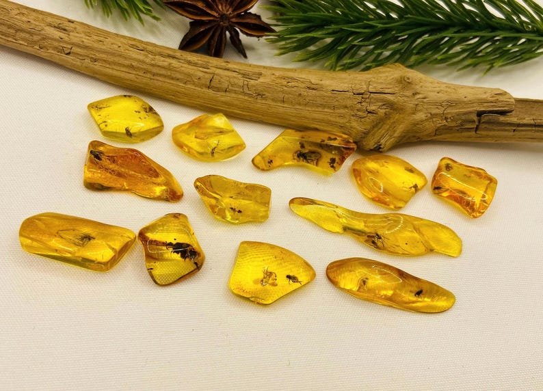 Īsti maziņa izmēra Baltijas Dzintara gabali ar insektu ietvērumiem