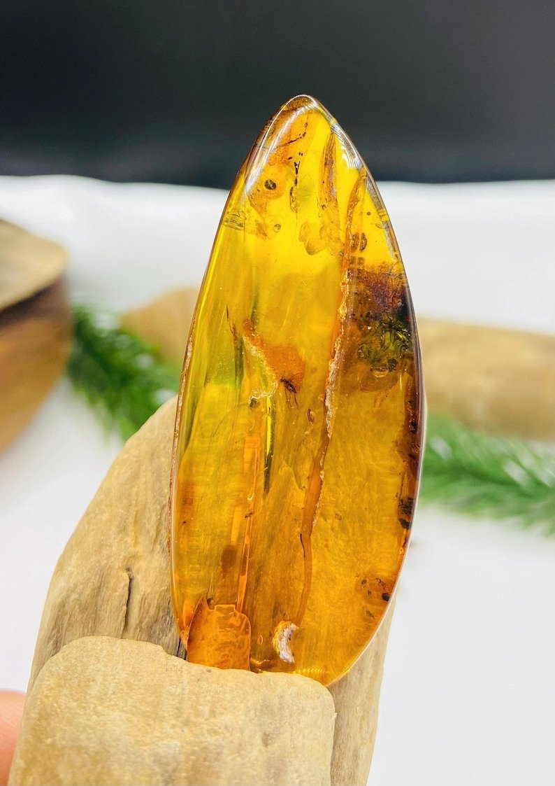 Īsti lielāka izmēra Baltijas Dzintara gabali ar insektu ietvērumiem