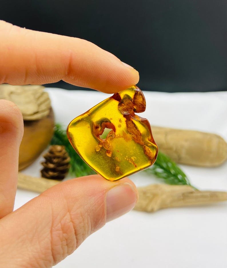 Autentiski Dzintara Odina akmeņi ar dabiskiem caurumiem