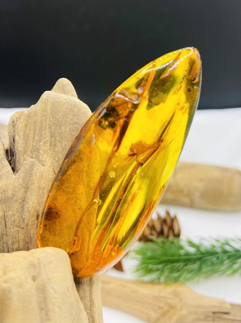 Īsti lielāka izmēra Baltijas Dzintara gabali ar insektu ietvērumiem