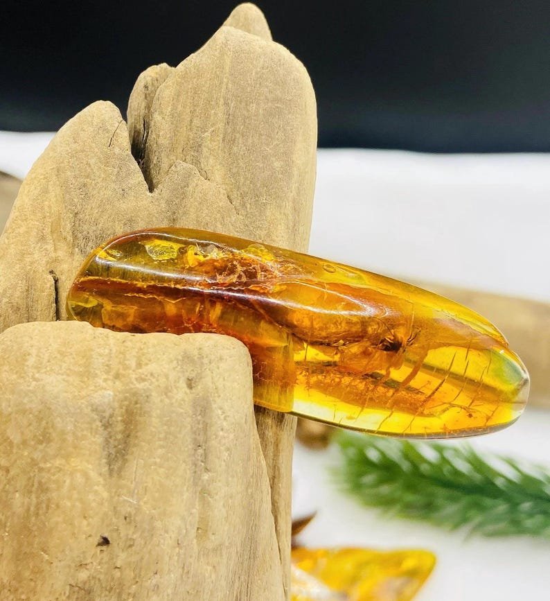 Dzintara gabali ar lieliem insektiem - 2 opcijas