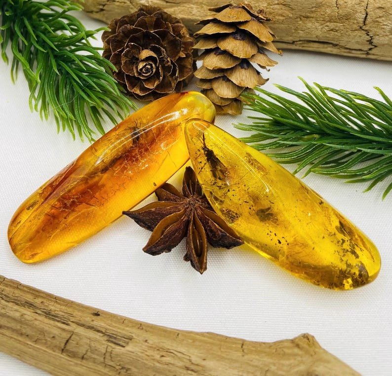 Dzintara gabali ar lieliem insektiem - 2 opcijas