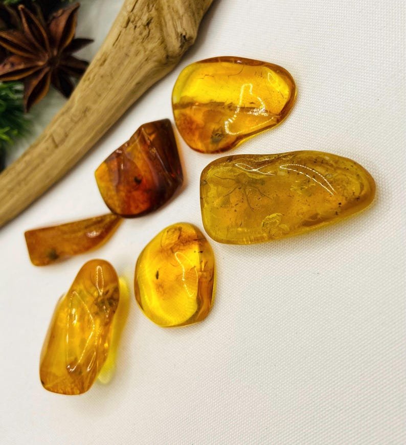 Īsti vidēja izmēra Baltijas Dzintara gabali ar insektu ietvērumiem