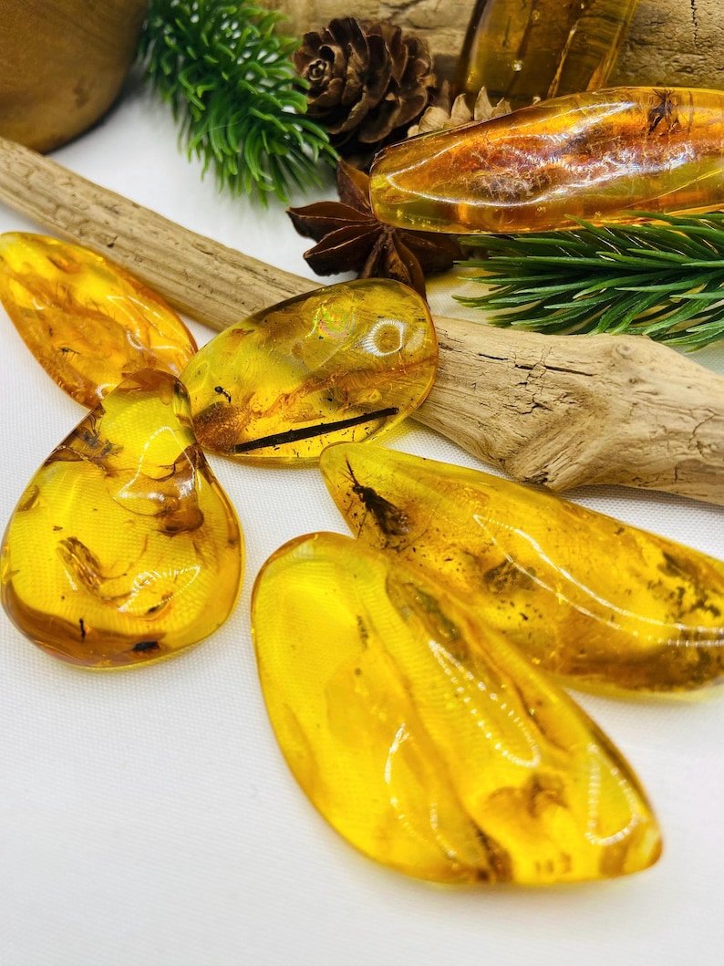 Īsti lielāka izmēra Baltijas Dzintara gabali ar insektu ietvērumiem