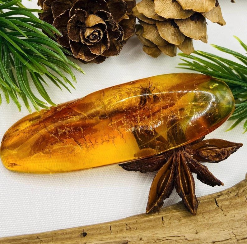 Dzintara gabali ar lieliem insektiem - 2 opcijas