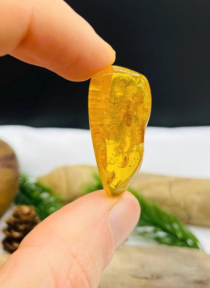 Īsti vidēja izmēra Baltijas Dzintara gabali ar insektu ietvērumiem