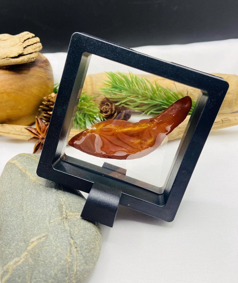 7 Grami Baltijas Dzintara neapstrādāts akmens kolekcionāriem