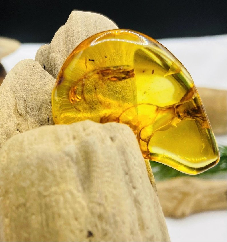 Īsti lielāka izmēra Baltijas Dzintara gabali ar insektu ietvērumiem