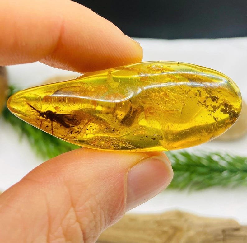 Dzintara gabali ar lieliem insektiem - 2 opcijas