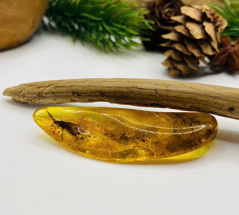 Dzintara gabali ar lieliem insektiem - 2 opcijas