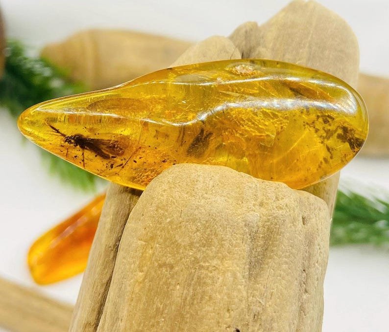 Dzintara gabali ar lieliem insektiem - 2 opcijas