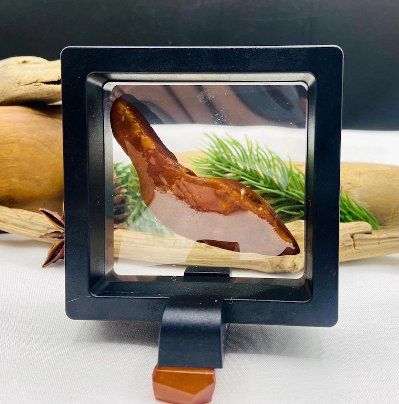 7 Grami Baltijas Dzintara neapstrādāts akmens kolekcionāriem