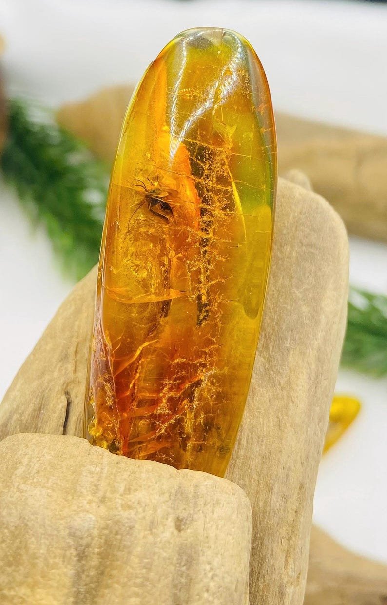 Dzintara gabali ar lieliem insektiem - 2 opcijas