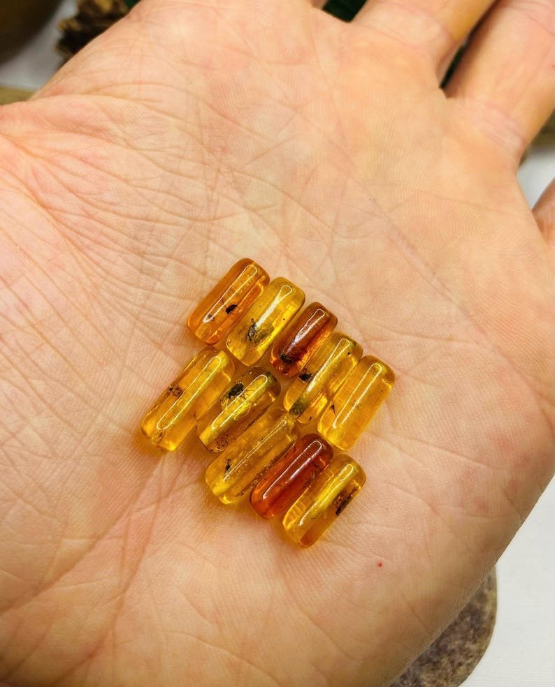 10 gabali miniatūri dzintara gabaliņi ar īstiem insektu ietvērumiem