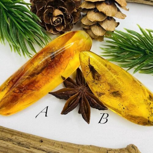 56548094-r-il-bd3cb0-7567500583-il_794xN.7567500583_q2o3 Dzintara gabali ar lieliem insektiem - 2 opcijas