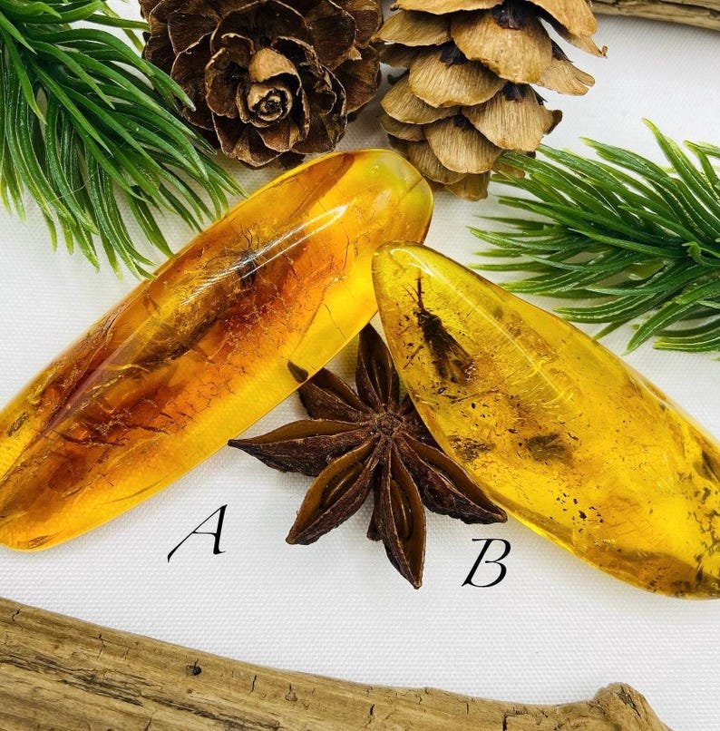 Dzintara gabali ar lieliem insektiem - 2 opcijas