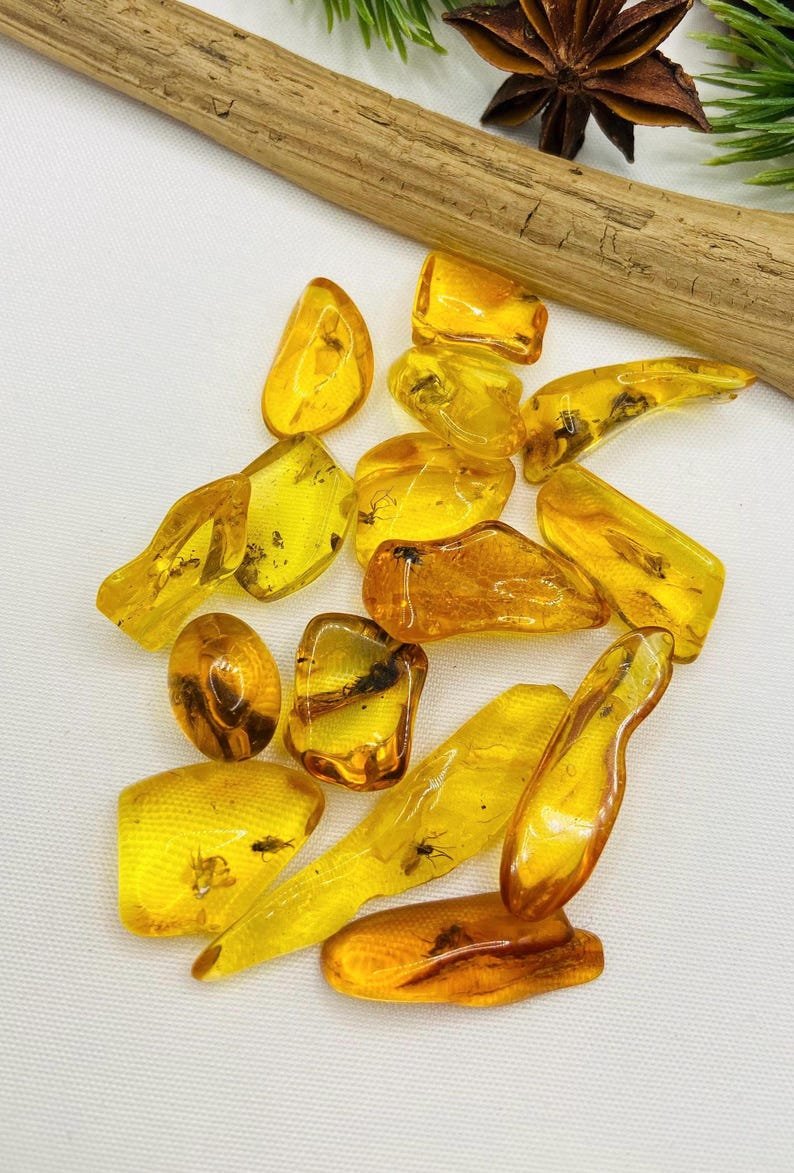 Īsti maziņa izmēra Baltijas Dzintara gabali ar insektu ietvērumiem