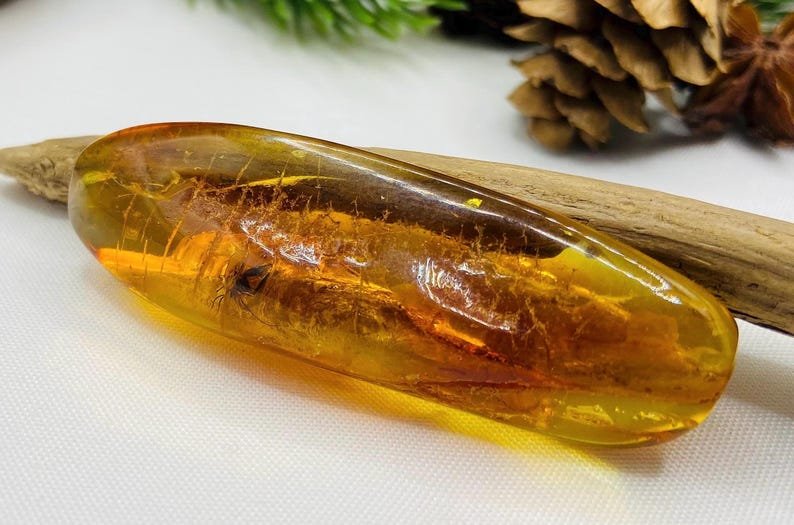 Dzintara gabali ar lieliem insektiem - 2 opcijas