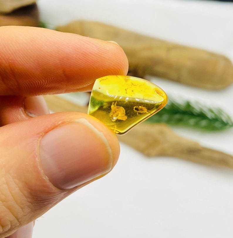 Īsti maziņa izmēra Baltijas Dzintara gabali ar insektu ietvērumiem