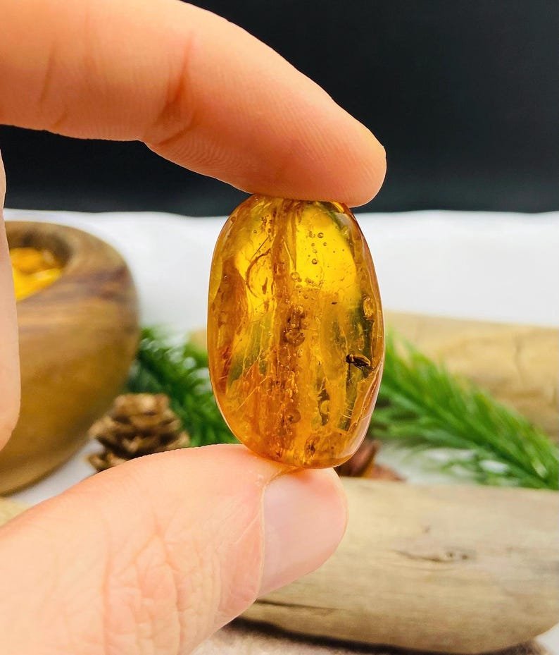 Īsti vidēja izmēra Baltijas Dzintara gabali ar insektu ietvērumiem