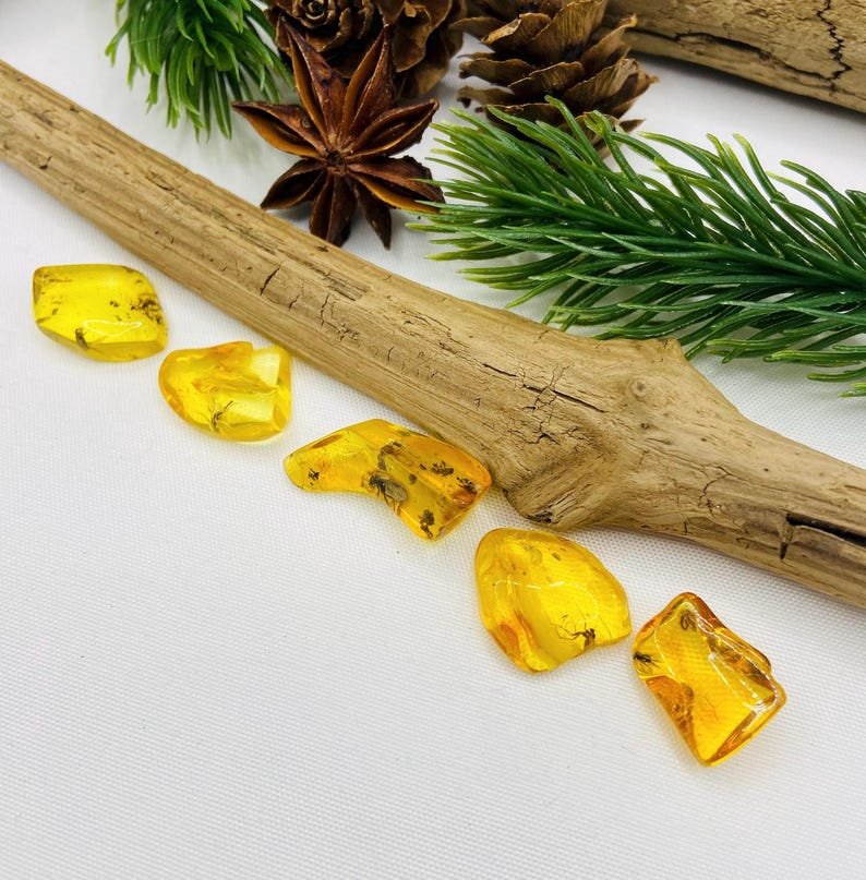 Īsti maziņa izmēra Baltijas Dzintara gabali ar insektu ietvērumiem