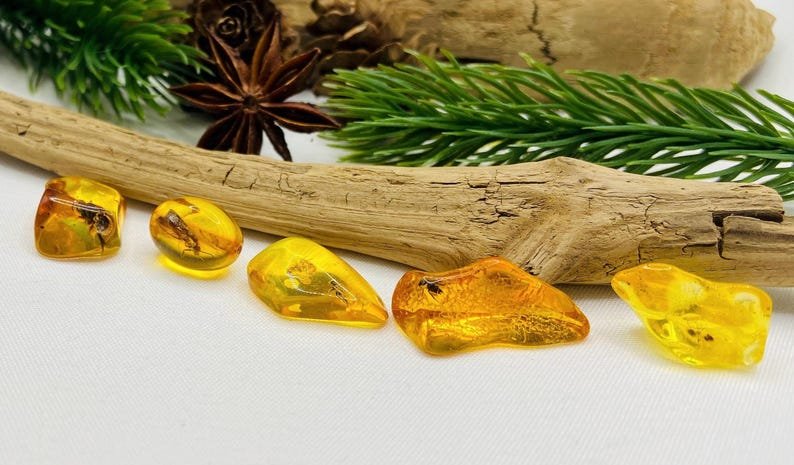 Īsti maziņa izmēra Baltijas Dzintara gabali ar insektu ietvērumiem