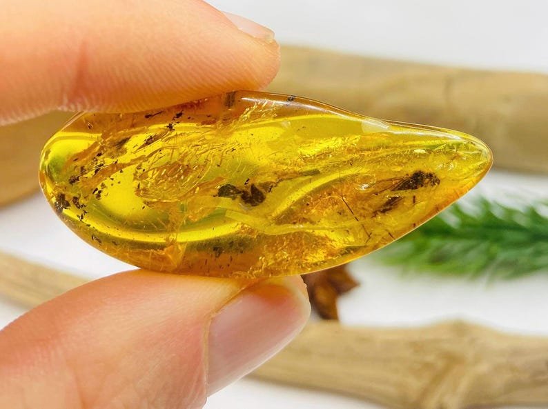 Dzintara gabali ar lieliem insektiem - 2 opcijas