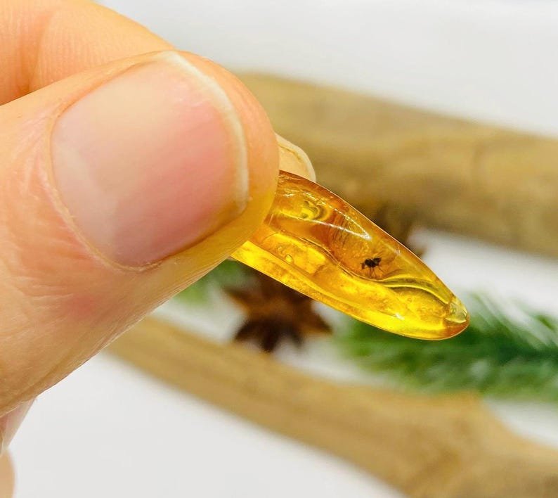 Īsti maziņa izmēra Baltijas Dzintara gabali ar insektu ietvērumiem