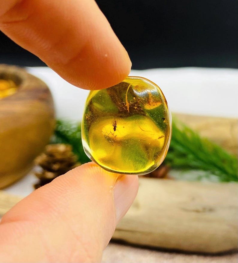 Īsti vidēja izmēra Baltijas Dzintara gabali ar insektu ietvērumiem