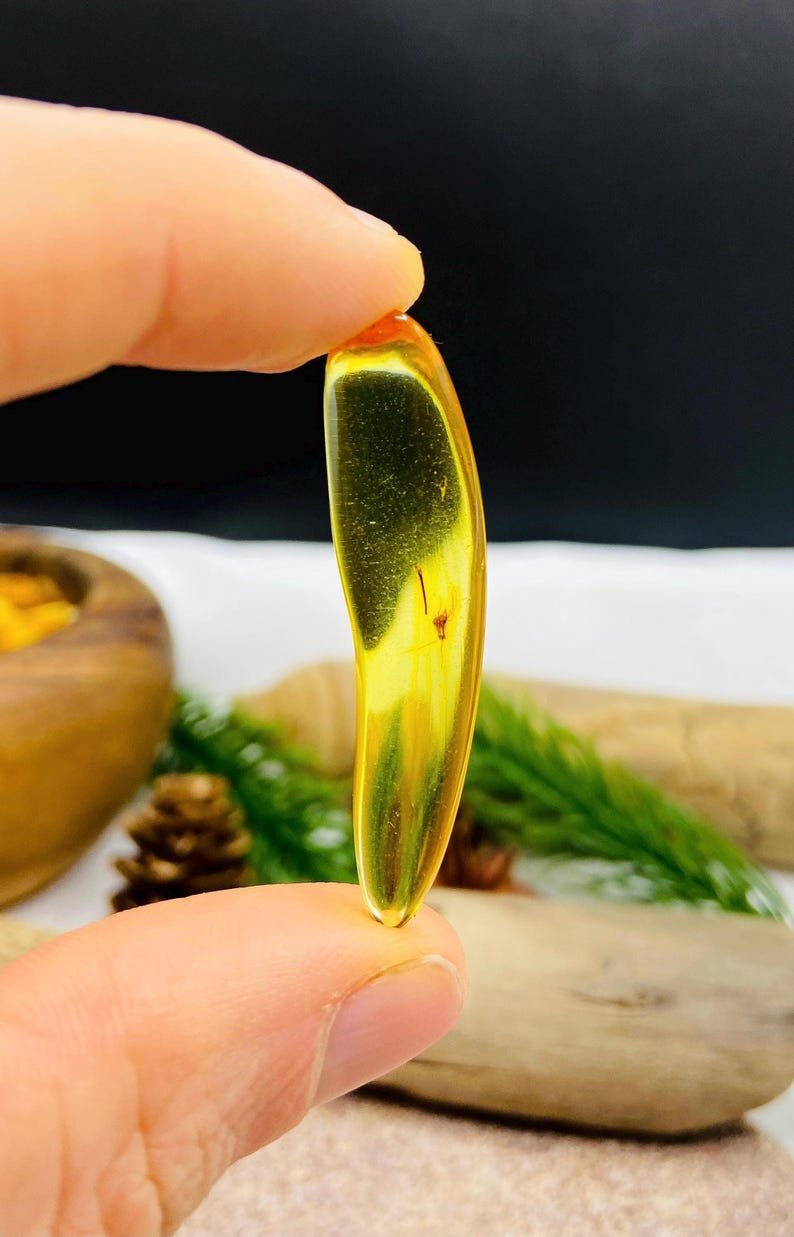 Īsti vidēja izmēra Baltijas Dzintara gabali ar insektu ietvērumiem