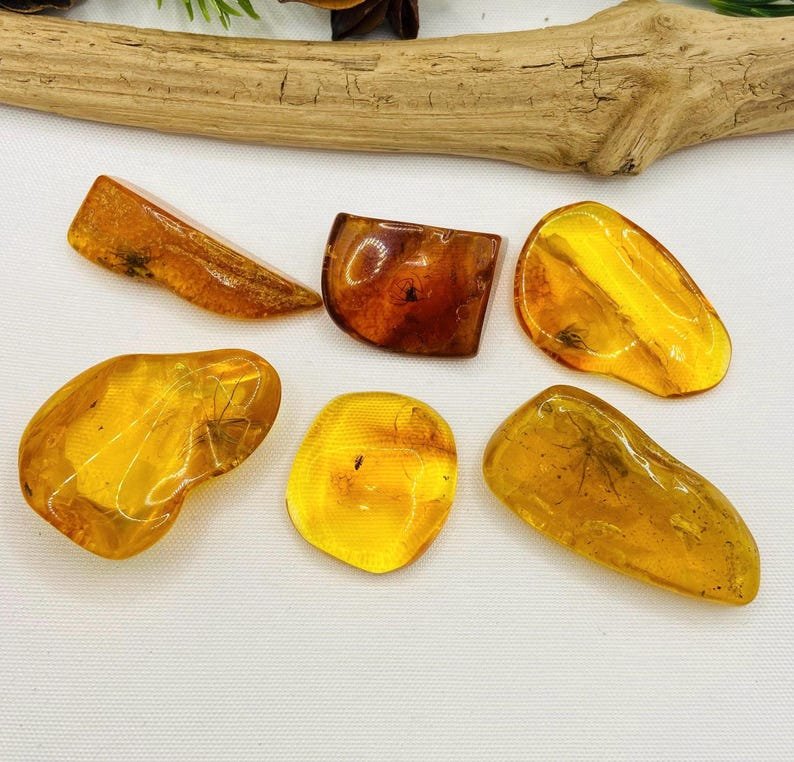 Īsti vidēja izmēra Baltijas Dzintara gabali ar insektu ietvērumiem