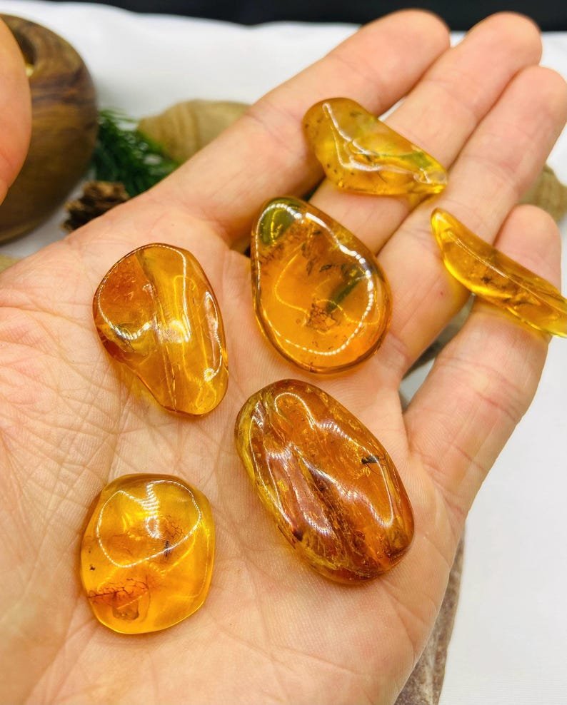 Īsti vidēja izmēra Baltijas Dzintara gabali ar insektu ietvērumiem