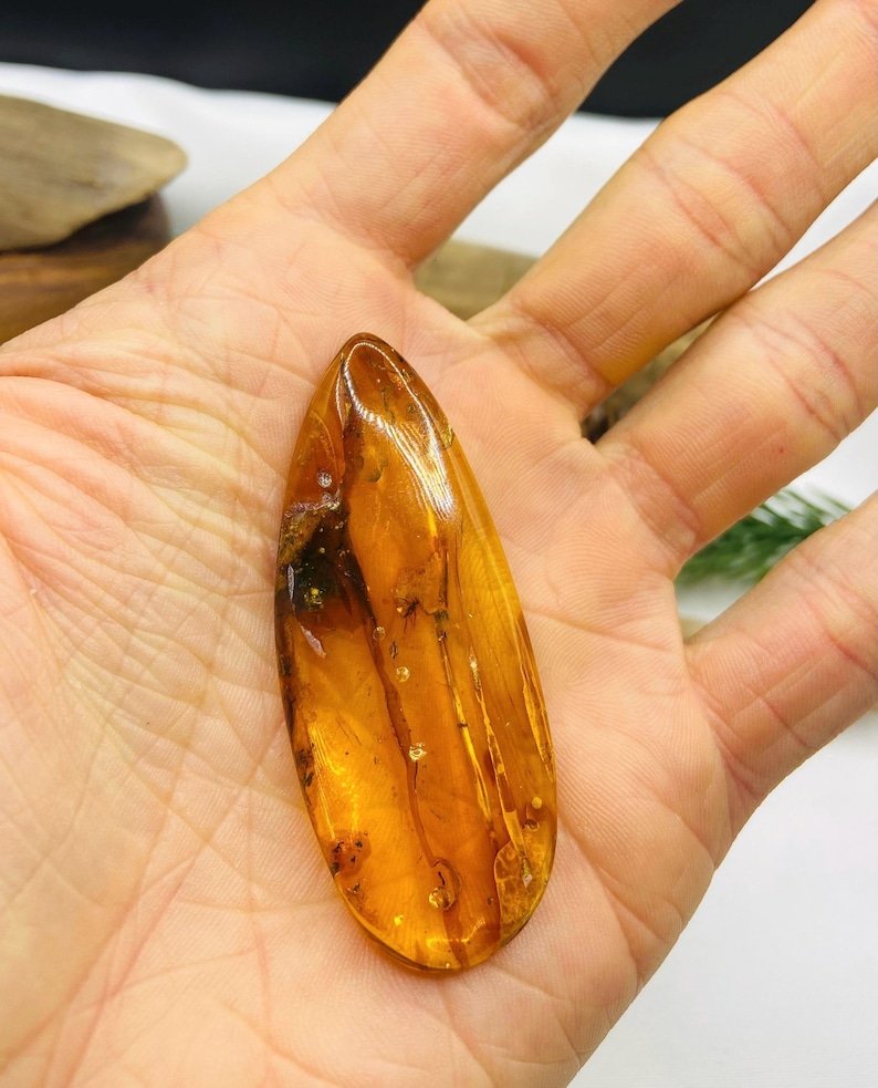 Īsti lielāka izmēra Baltijas Dzintara gabali ar insektu ietvērumiem