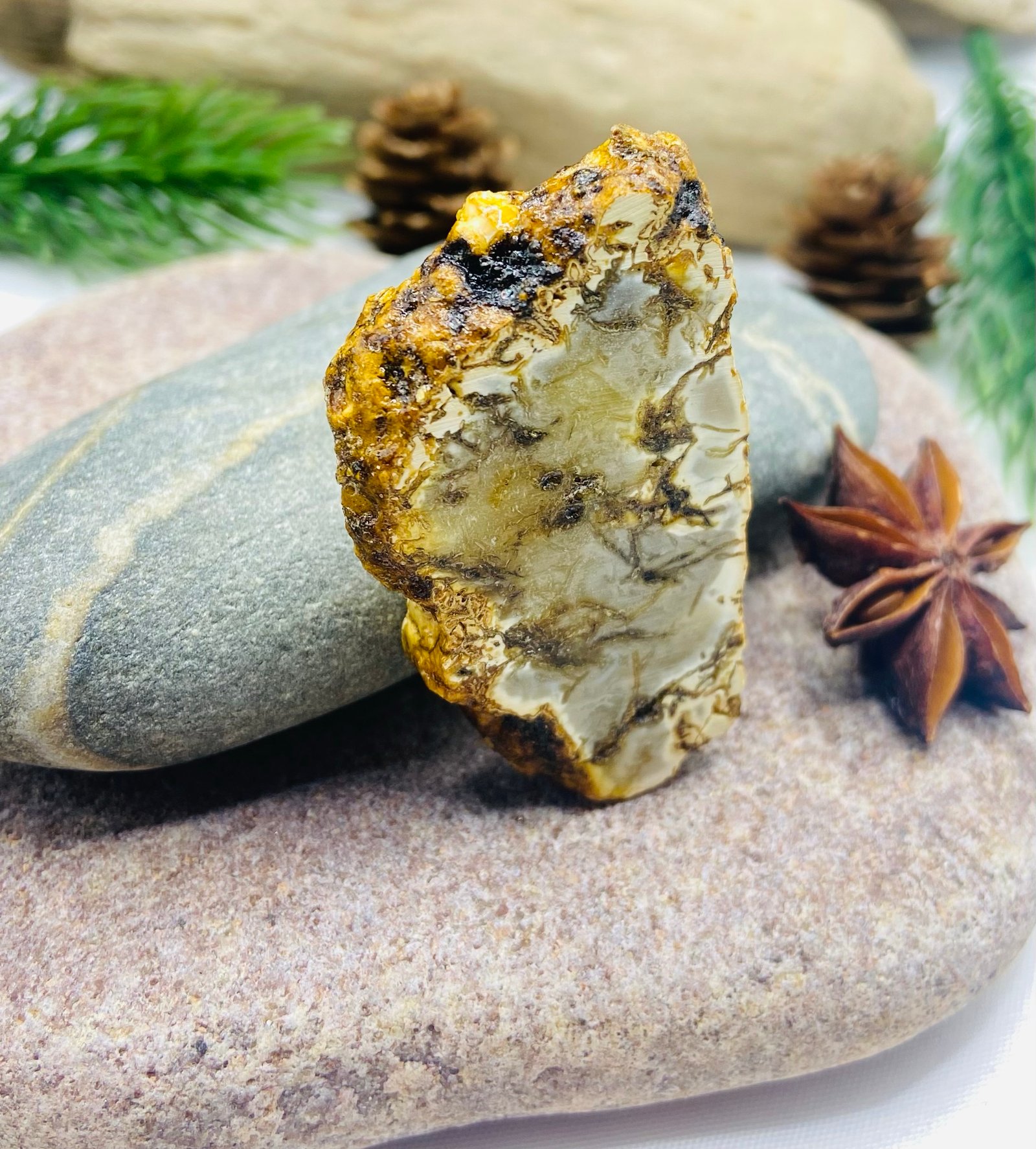 Unikāls balti-melna toņa dzintara gredzens ar sudrabu