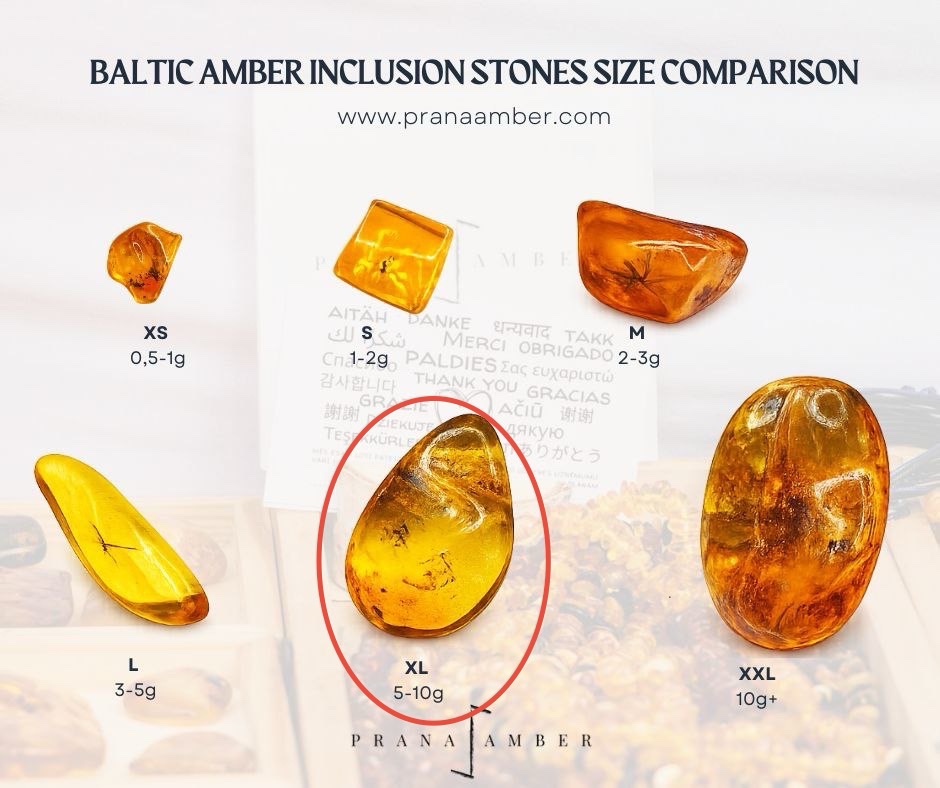 Īsti lielāka izmēra Baltijas Dzintara gabali ar insektu ietvērumiem