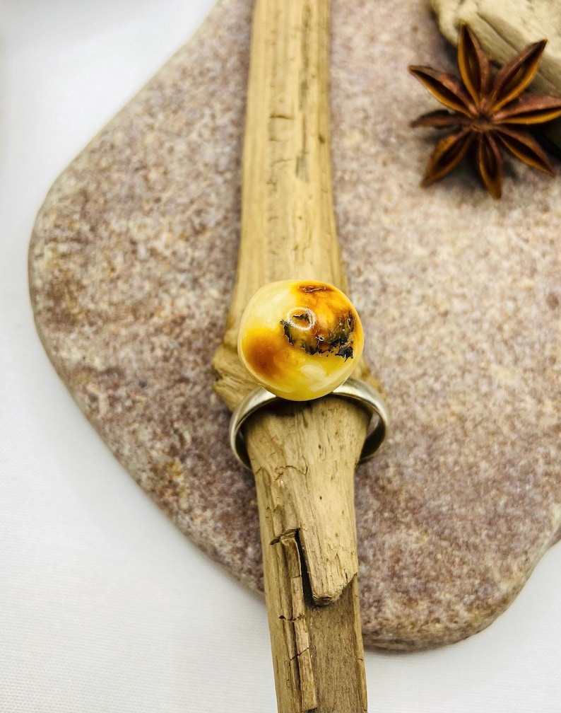 Skaists baltā dzintara apaļais gredzens ar regulējamu izmēru