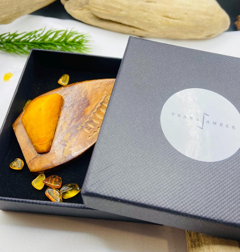 Ļoti veca vintāžas dzintara un koka broša no 1970. gadiem