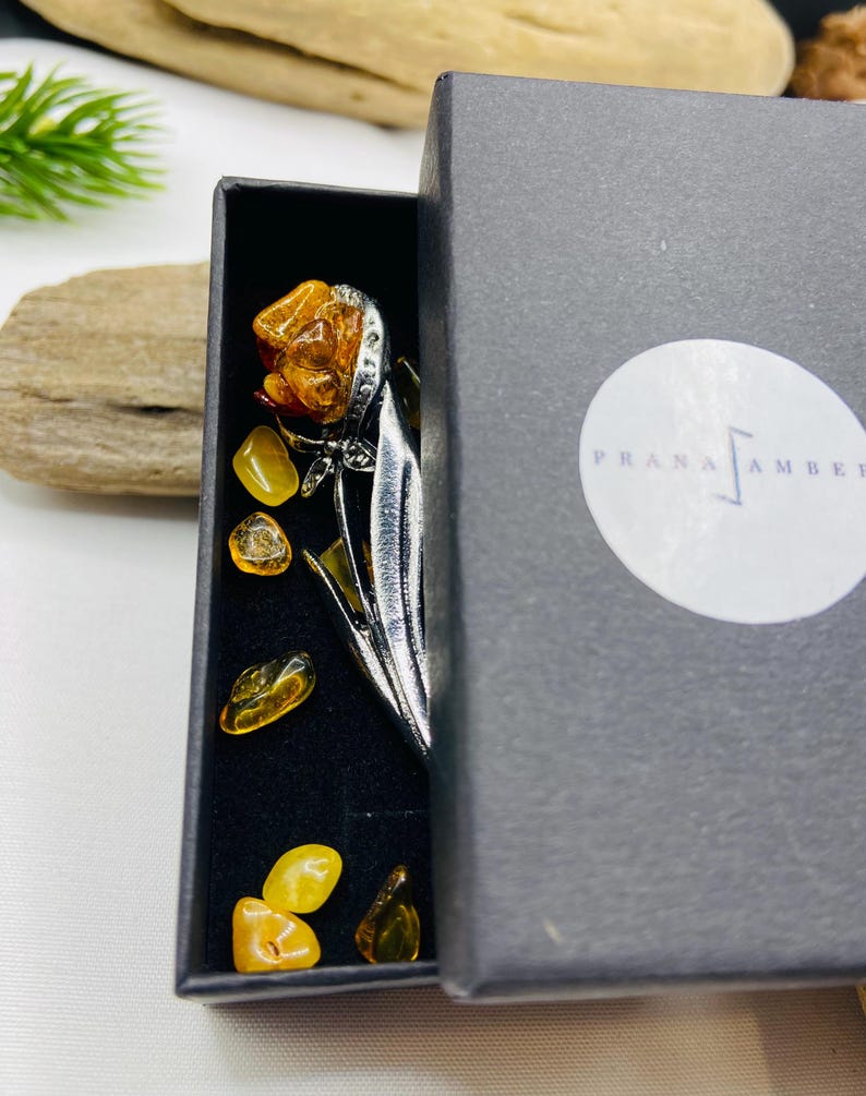 Baltijas Dzintara Rozes broša no medicīniskā metāla